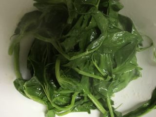 6、四川的面：酸萝卜肉丝面,摘点打底的豌豆尖，然后过水焯熟铺在碗底。