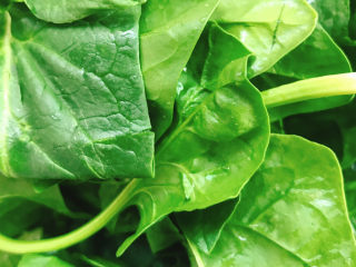 2、蒜末炒菠菜,洗干净