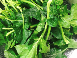 4、蒜末炒菠菜,水开后放入菠菜