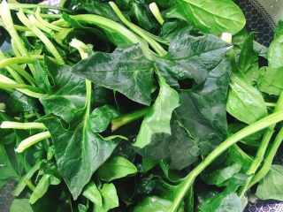 5、蒜末炒菠菜,加入3g盐