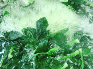 7、蒜末炒菠菜,再煮2分钟