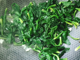 11、蒜末炒菠菜,倒入菠菜、胡椒粉、2g盐