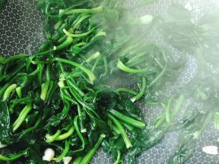12、蒜末炒菠菜,翻炒均匀