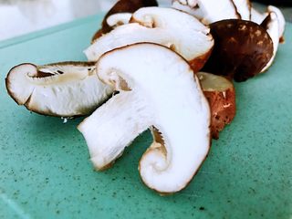 3、油菜香菇,新鲜的香菇清洗干净后，切成片，不要太薄。如果没有新鲜的用干香菇也可以。