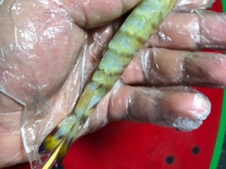 4、椒盐串串虾,从尾部贴着虾皮穿上竹签