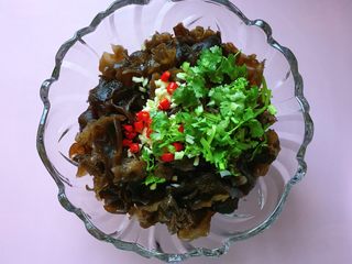 15、凉拌木耳,加入香菜碎;