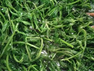 5、凉拌野豌豆苗,用筷子翻拌
