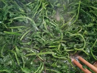 6、凉拌野豌豆苗,直到这样