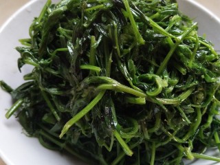 7、凉拌野豌豆苗,沥干水装碗里