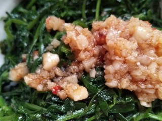 10、凉拌野豌豆苗,来张近照