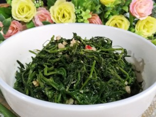 13、凉拌野豌豆苗,装盘即可