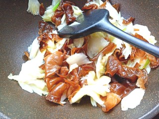 15、耗油木耳炒白菜,加入白菜，木耳翻炒片刻