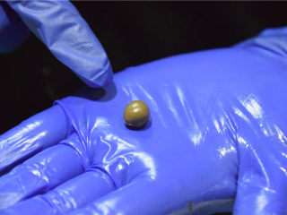 12、巧克力甘纳许玫瑰花-特别的爱给特别的你,然后制作花瓣，第一层靠近花心的位置，取1g左右的巧克力团。