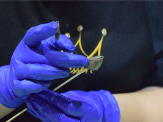 17、巧克力甘纳许玫瑰花-特别的爱给特别的你,第二片覆盖第一片的1/3处。第一层一共贴三片。每片花瓣的制作方法都是一样的，重复12-15步骤。