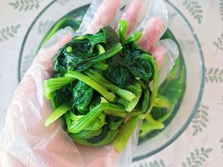 6、大力水手的最爱-炝拌菠菜,戴上一次性手套将菠菜水分挤干