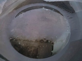 12、蒜蓉空心菜,起锅烧油