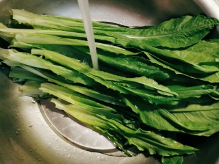 2、麻酱油麦菜,冲洗干净