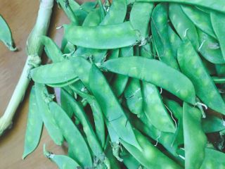 1、虫草花炒荷兰豆,荷兰豆和蒜叶准备好