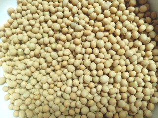 1、辣酱黄豆,取黄豆挑捡一下坏豆