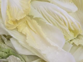 1、辣白菜,白菜洗净，每片涂上一层薄盐，放置变软