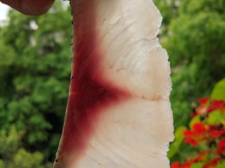 3、酸菜鱼,斜切将鱼肉片成鱼片