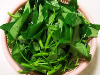 6、蒜蓉空心菜,把空心菜撕成小段