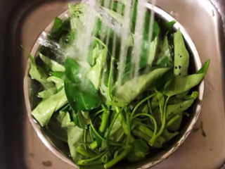 7、蒜蓉空心菜,用冷水冲洗干净