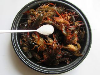 3、香辣小龙虾,加一勺盐腌渍五分钟去除脏气