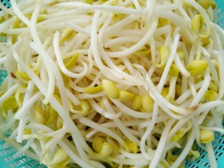 1、香辣黄豆芽,准备黄豆芽