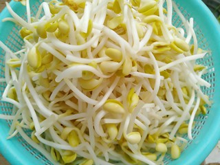 3、香辣黄豆芽,黄豆芽去掉根部，太长可以折成两段
