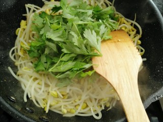 9、香辣黄豆芽,把辣味炒出后放入芹菜叶子一起翻炒断生