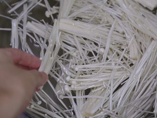 3、金针菇炒蛋,撕开冲洗干净，沥干水待用