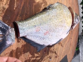 1、剁椒扁鱼,准备一条扁鱼杀洗干净，剪去鱼鳍切去头切去鱼尾