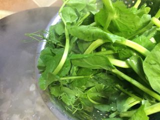 21、#年味#水煮酸菜滑肉片,再放入豆尖，烫一下即可起锅