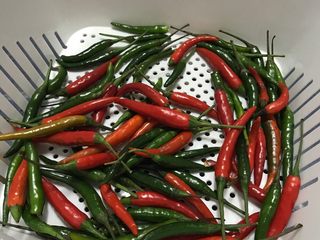 4、四川泡菜水的泡制,辣椒（这是泡椒）买二斤条长的红色的也可以