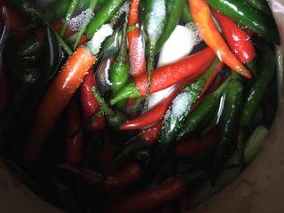 7、四川泡菜水的泡制,把料包裹好放进三分之二水的泡菜坛子然后入阴干的菜再撒一袋盐即可