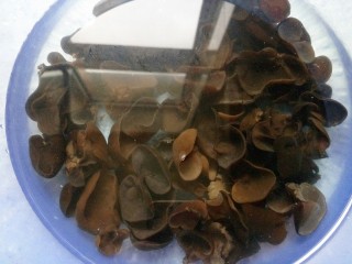 5、鱼香肉丝,木耳提前一小时泡，一片片洗干净切丝。