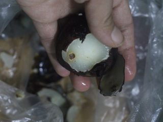 3、素食主义最爱的木耳炒荸荠,用小水果刀去掉荸荠头部，有黑点的地方挖掉。