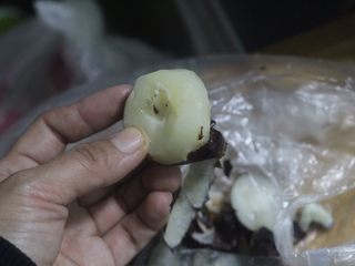 5、素食主义最爱的木耳炒荸荠,像削苹果一样削掉荸荠的皮，水煮过后皮很好削。削好的荸荠切成小块备用。