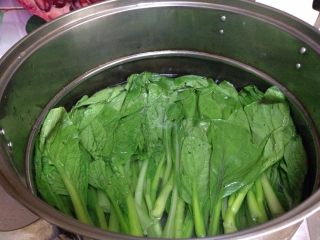 5、舞茸蚝油菜心,锅内加水烧开加盐，倒入菜心焯水至断生捞出