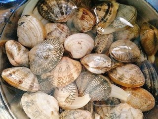 1、锡纸蒜香花蛤粉丝,花蛤买回来要用淡盐水养着,吐沙