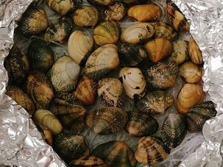 14、锡纸蒜香花蛤粉丝,再铺上花蛤