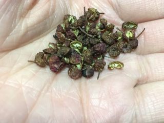 5、椒麻鸡,取出一小撮花椒