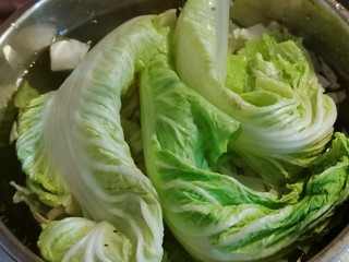 2、大白菜炖粉条,白菜冲洗干净  用清水浸泡10分钟