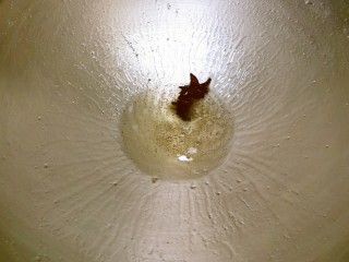 8、大白菜炖粉条,起油锅 炸香八角