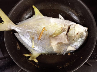 4、红烧王特鲳鱼,翻面继续煎。