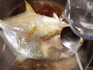 7、红烧王特鲳鱼,加入适量清水。