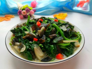 1、皮蛋苋菜,美美图片来一张，苋菜青翠欲滴。