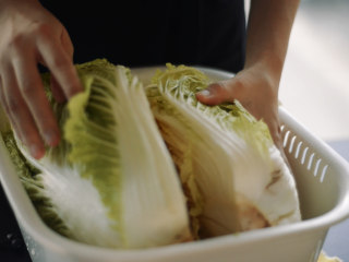 4、制作自家口味的韩式泡菜,每30分钟将白菜翻转180度，让盐分充分接触。