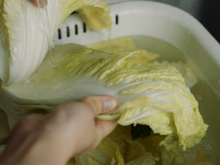 5、制作自家口味的韩式泡菜,大约2-3小时后，白菜帮子都完全蔫了，就可以开始制作腌泡菜。